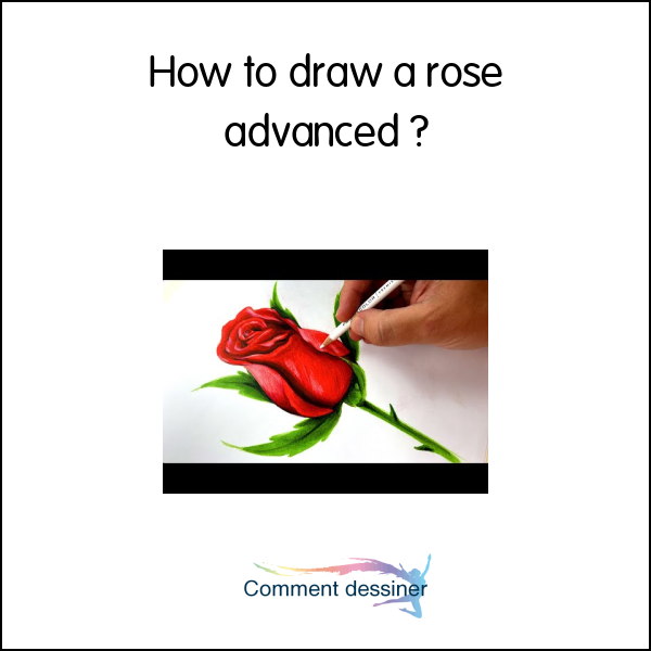 How to draw a rose advanced